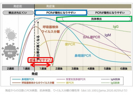 コロナ　ＰＣＲ　抗体